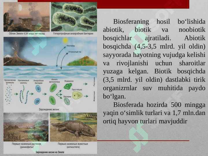 Biosfera haqida tushuncha. Vernadskiy talimoti, noosfera. 1