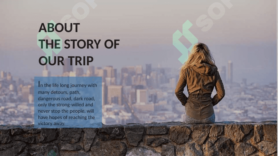 Travel Partners 3
