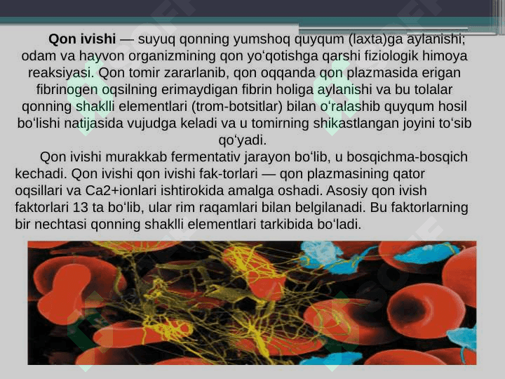 Qon ivish tizimi 2