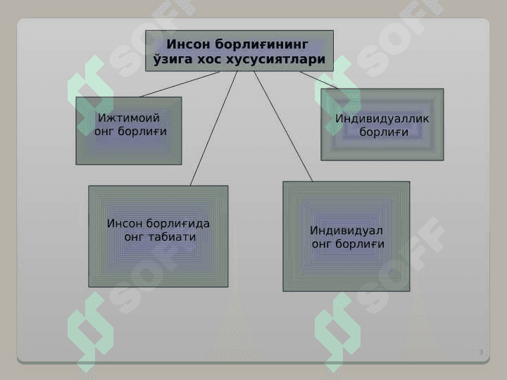 Фалсафий антропология (Инсон фалсафаси:InsonFalsafasi) 3