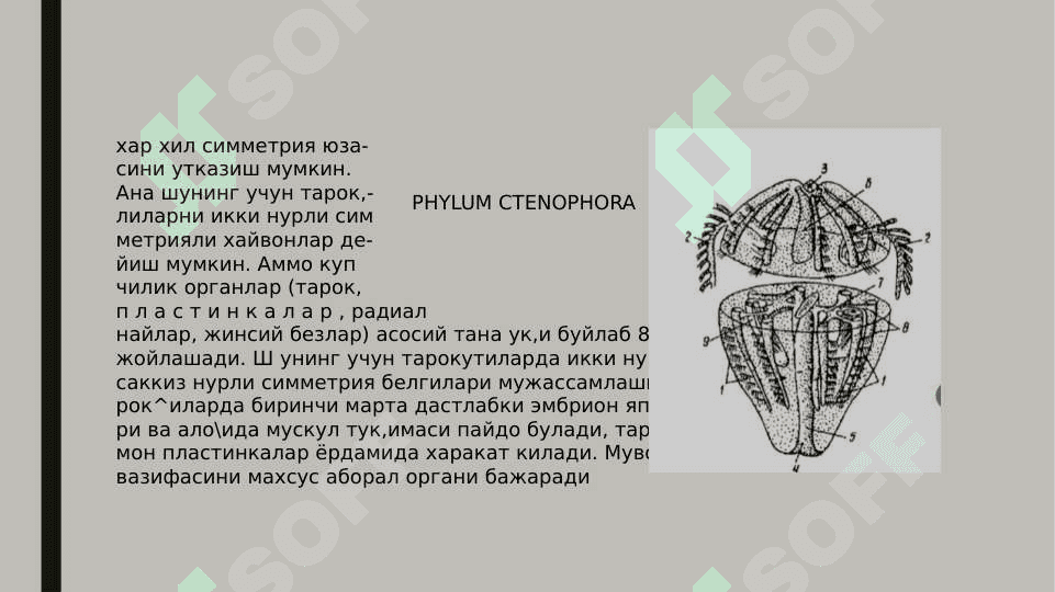 Taroqsimonlar 2