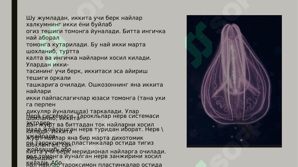 Taroqsimonlar 4