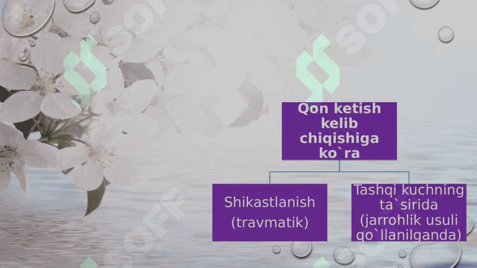 Qon ketish mavzusi uchun klaster 2