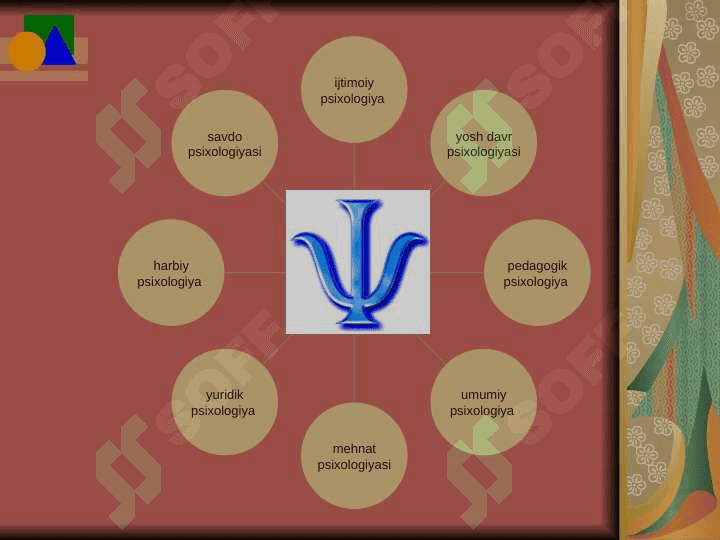 Psixika va uning evolutsiyasi 3