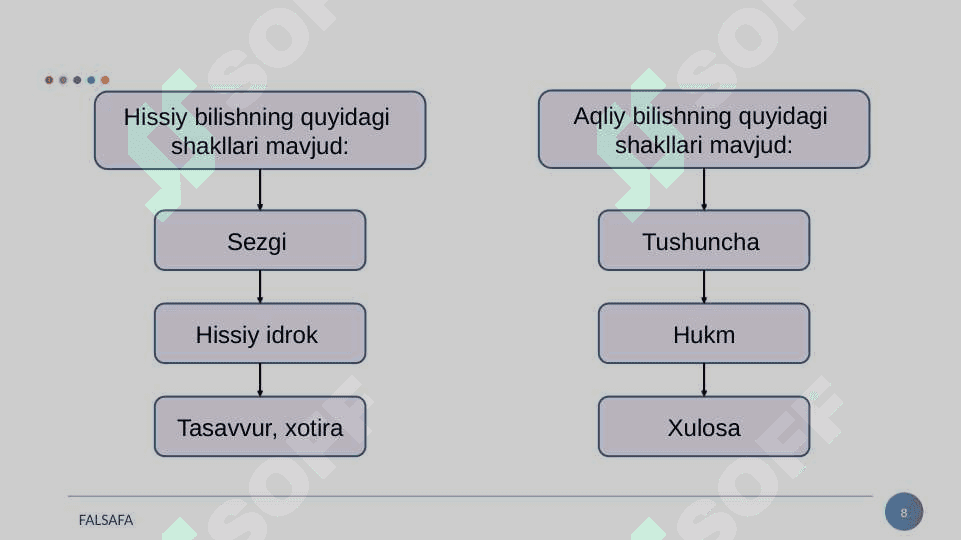 Bilish nazariyasi 8