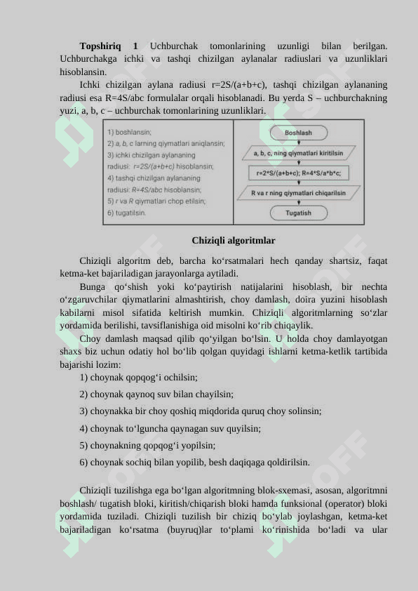 ALGORITMNING TURLARI VA ALGORITMLASH JARAYONI 4