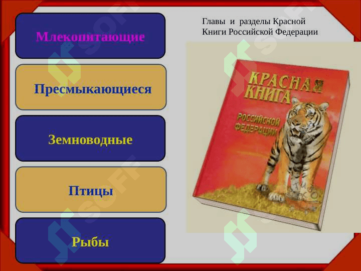 Человек и природа красная книга 4