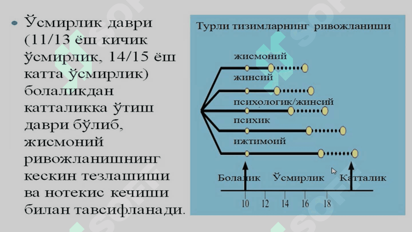 ЎСМИРЛИК, ИЛК ЎСПИРИНЛИК ВА ЁШЛИК 4