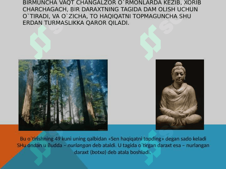 O'RTA OSIYODA BUDDAVIYLIKNING YOYILISHI 7