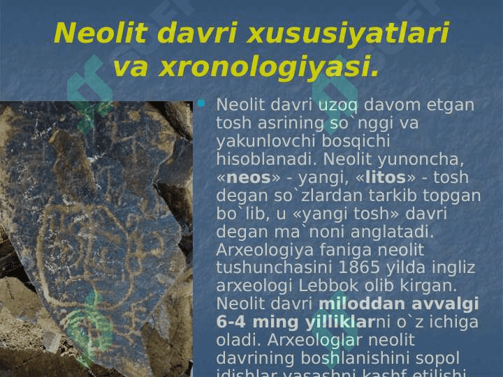O`rta Osiyoda Neolit davri 2