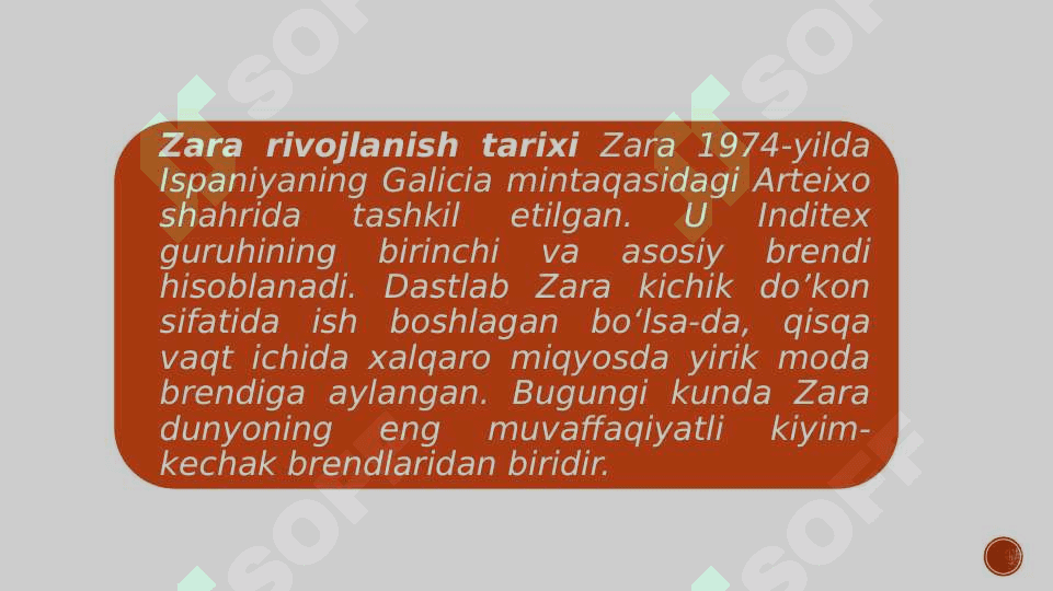 Zara brendi 2