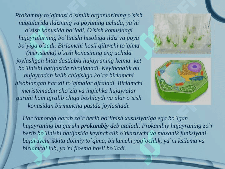 Tòqimalar va ularning tuzilishi. 4