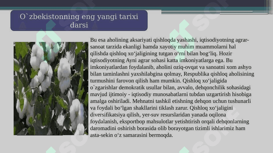 Mustaqillik yillarida qishloq xo'jaligi va sanoat sohasidagi o'zgarishlar. 4