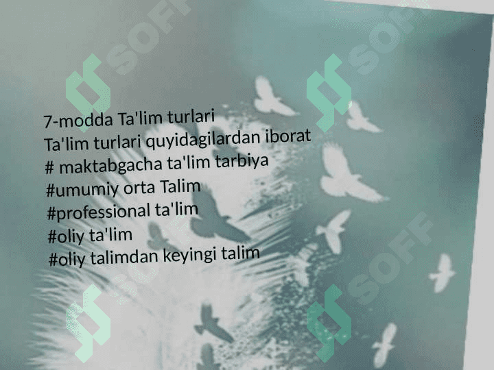 O'zbekistonda ta'lim tizimi 2