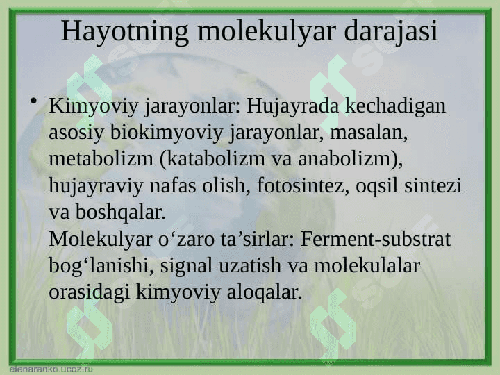 Hayotning molekulyar, genetik, populyatsiya va tur darajalari 6