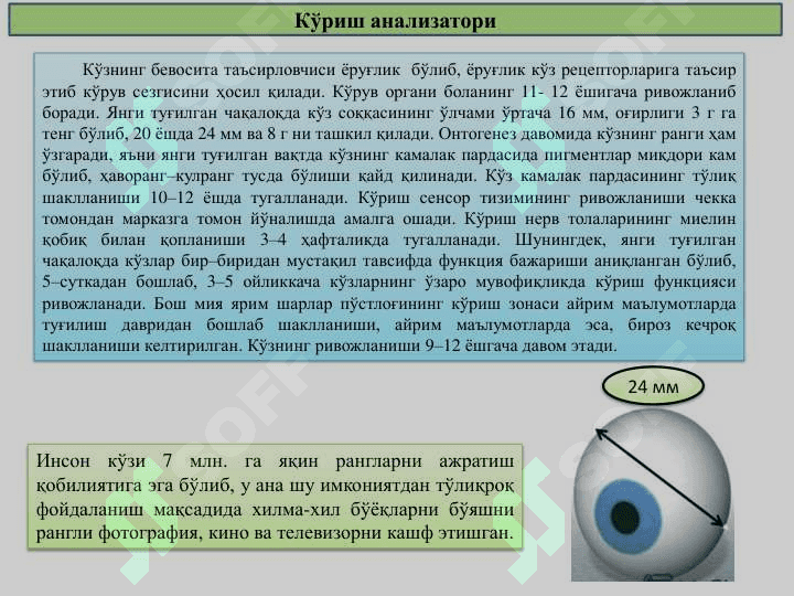 Sensor tizimining yoshga oid fiziologiyasi va gigiyenasi 6