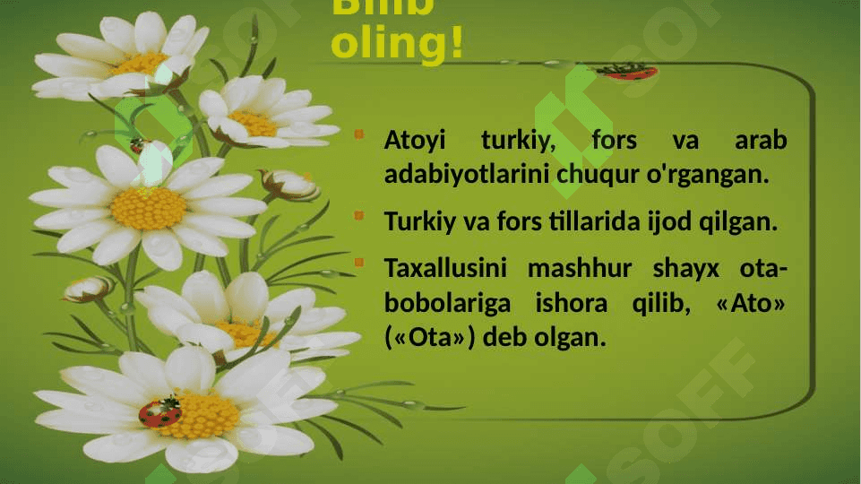 Atoiy lirikasi 3