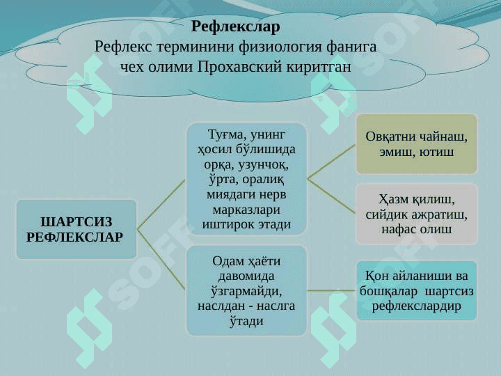 OLIY  NERV  FAOLIYATINING TIPLARI 20.pptx 3