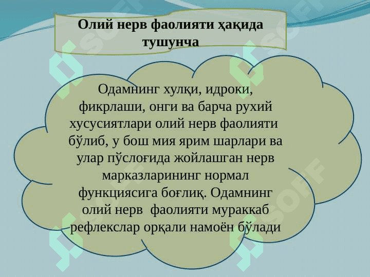 OLIY  NERV  FAOLIYATINING TIPLARI 20.pptx 7