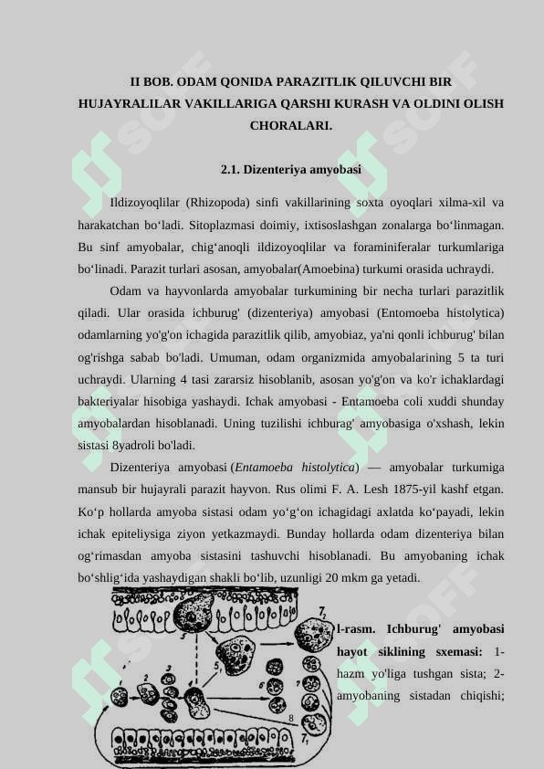 ODAM VA HAYVON ORGANIZMIDA PARAZITLIK QILADIGAN BIR HUJAYRALILAR.docx 8
