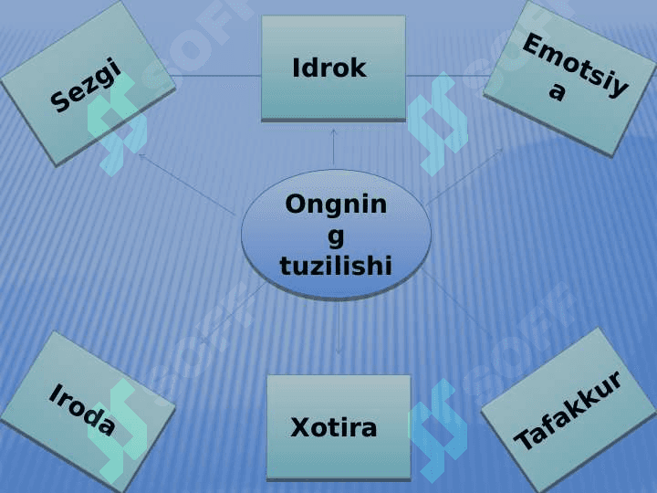 Psixika va ong 4