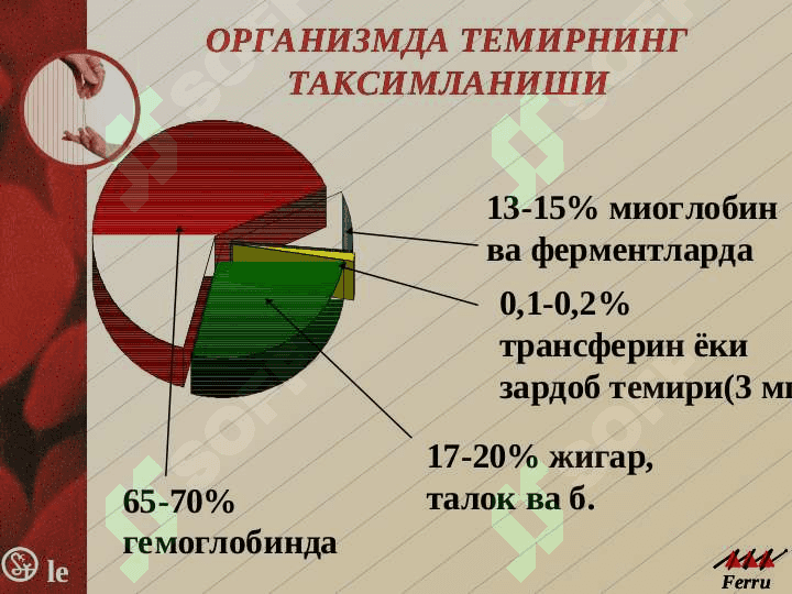Anemiyalar. Klassifikatsiyasi, etiologiyasi, patogenezi, klinikasi, diagnostikasi, davolash va profilaktikasi 7