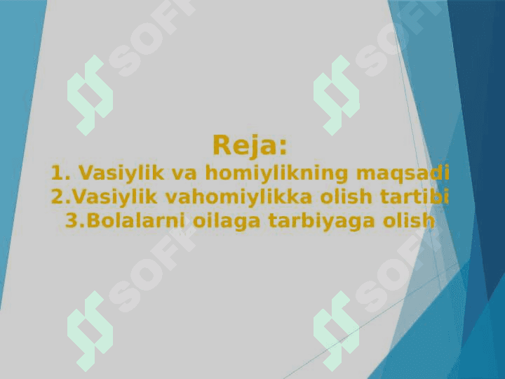 Ijtimoiy pedagogikada vasiylik va homiylik 2