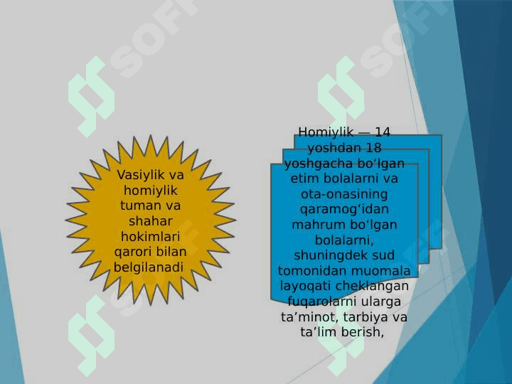 Ijtimoiy pedagogikada vasiylik va homiylik 4