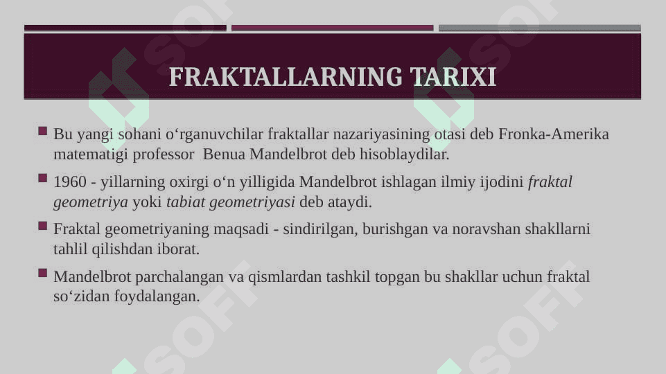 Fraktal grafika 4