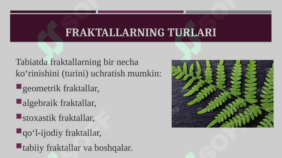 Fraktal grafika 7