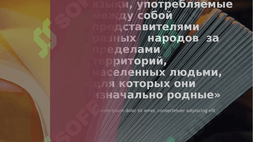 Русский язык как один из мировых языков 4