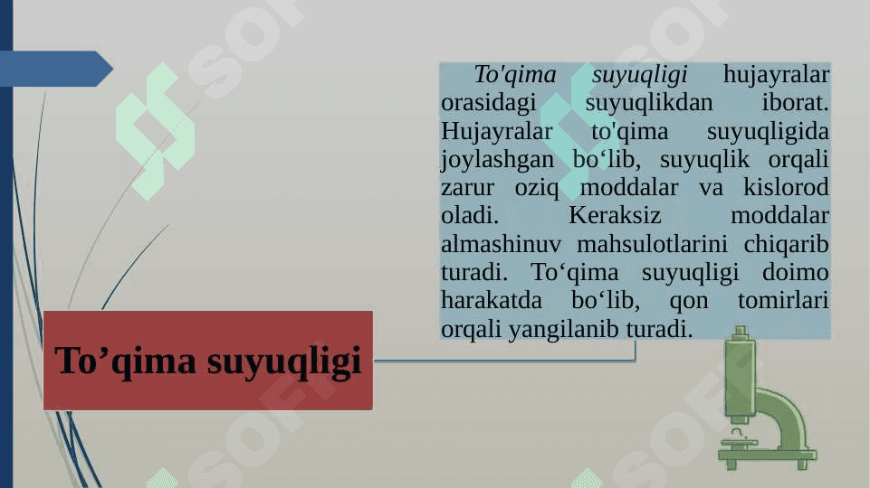 Qon va uning vazifasi 5