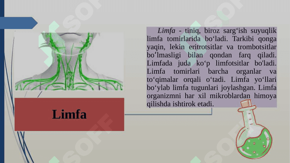 Qon va uning vazifasi 6