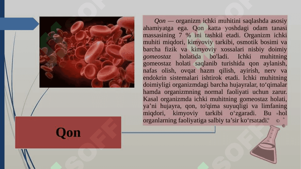 Qon va uning vazifasi 7