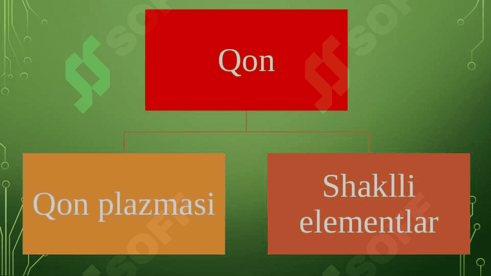 Qonning kimyoviy tarkibi 3