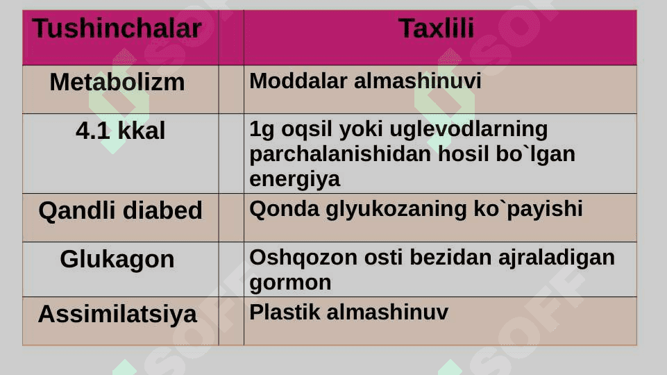 Vitaminlar va ularning ahamiyati 5