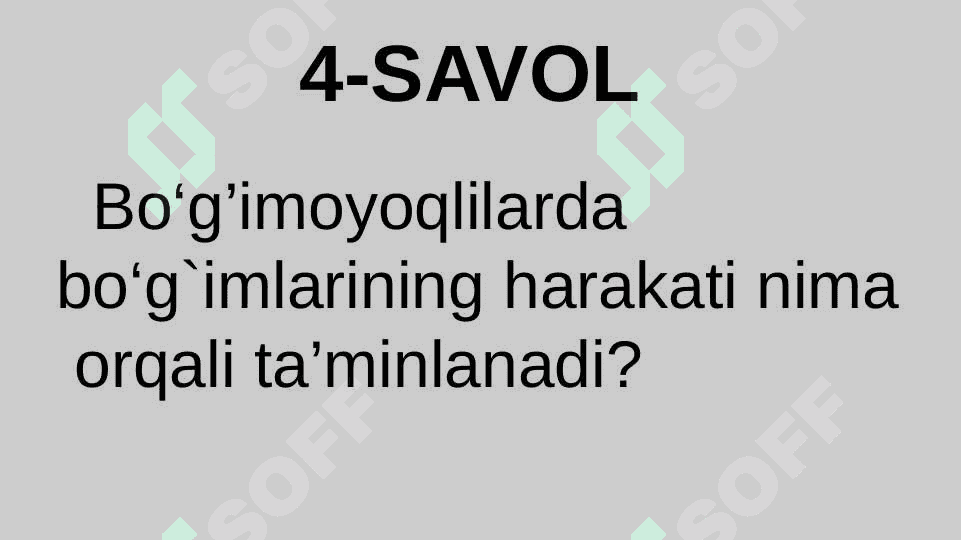 HAYVONLARNING NAFAS OLISH ORGANLARI EVOLUTSIYASI 8
