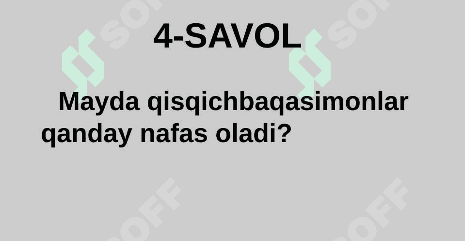 HAYVONLARNING QON AYLANISH ORGANLARI EVOLUTSIYASI 8