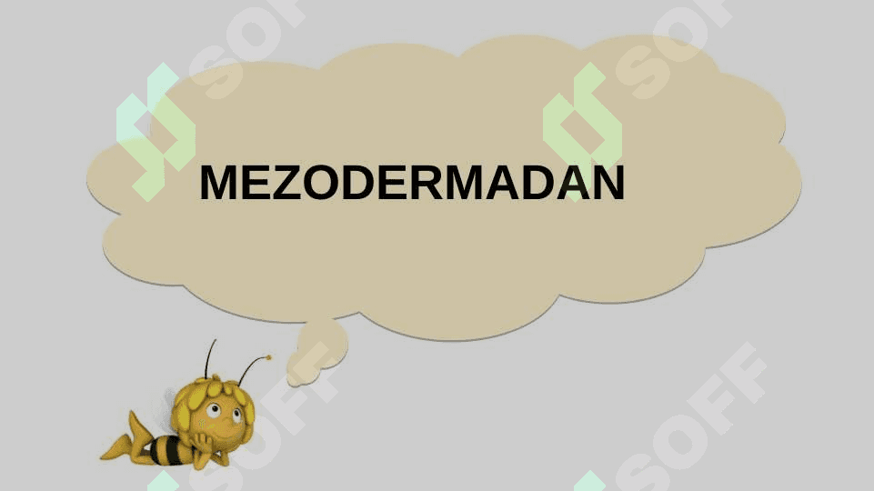 HAYVONLARNING HAZM QILISH ORGANLARI EVOLUTSIYASI 3