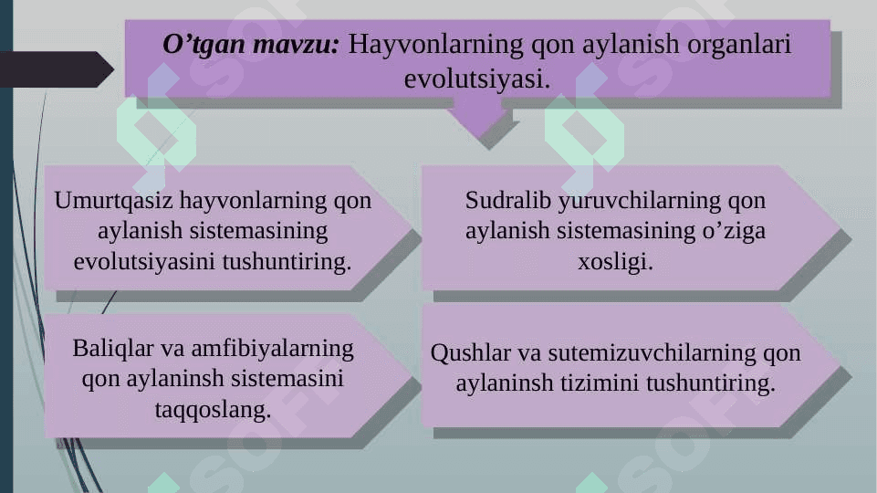 Hayvonlarning hazm qilish organlari evolutsiyasi 3