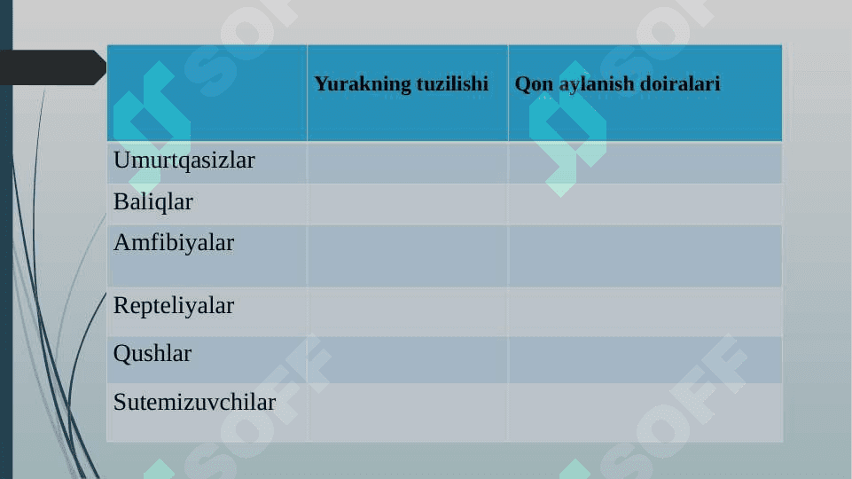 Hayvonlarning hazm qilish organlari evolutsiyasi 4