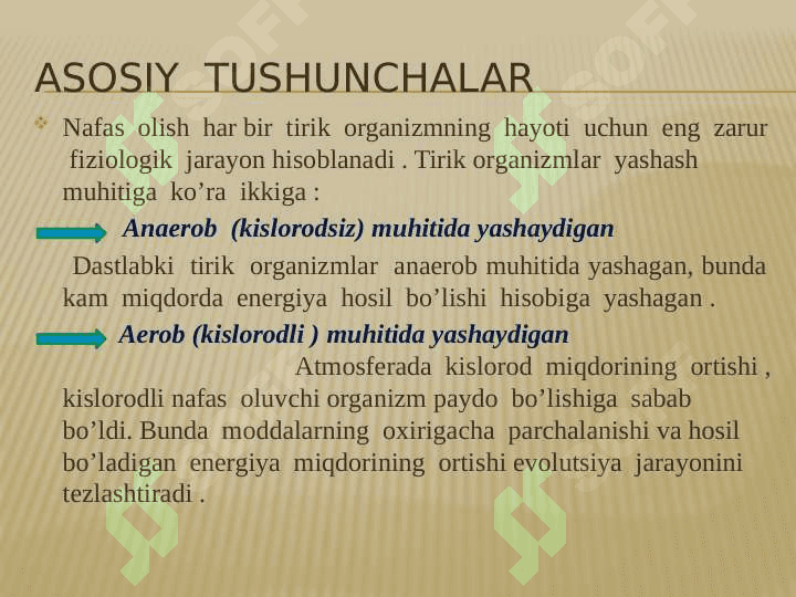 Hayvonlarning nafas olish organlari evolutsiyasi 6