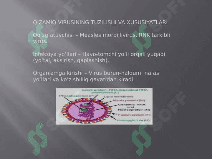 QIZAMIQ VIRUSI VA INSON ORGANIZMI 3