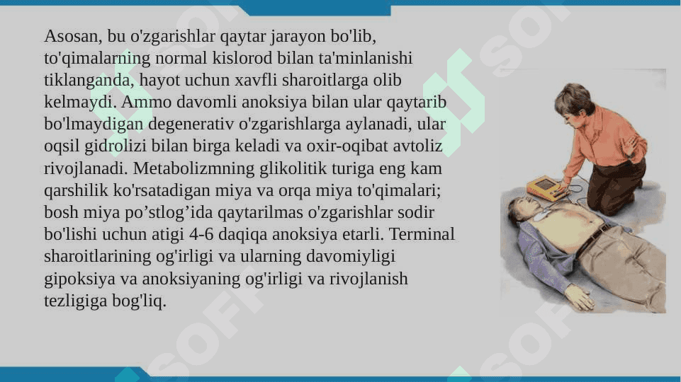 Terminal holatlar 4