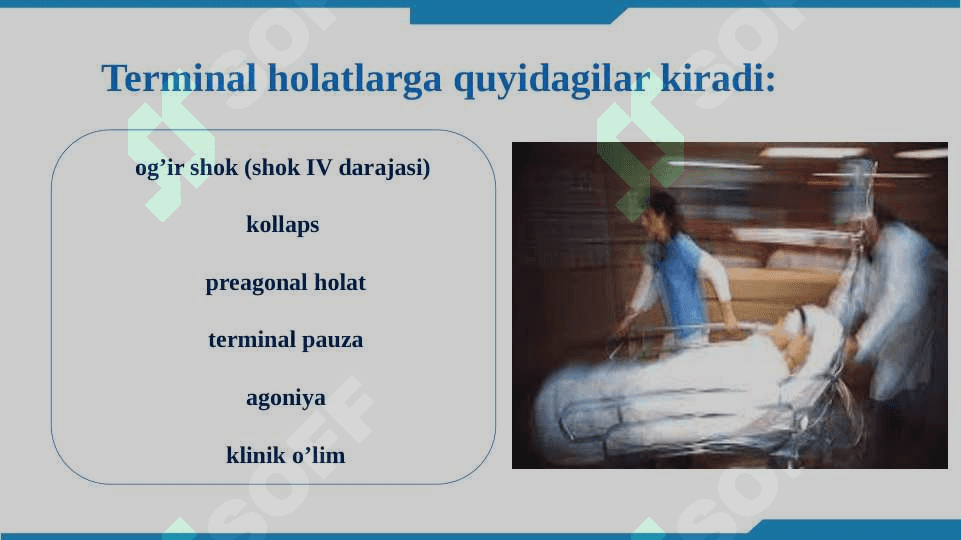 Terminal holatlar 5