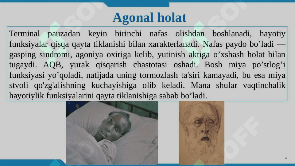 Terminal holatlar 8