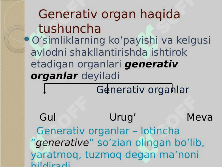 O’simliklarning generativ organlari filogenezi 2