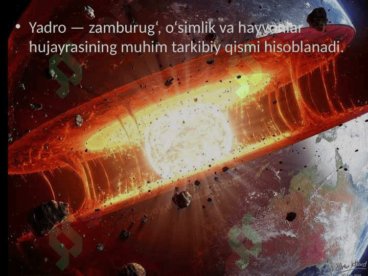 Yadro 2
