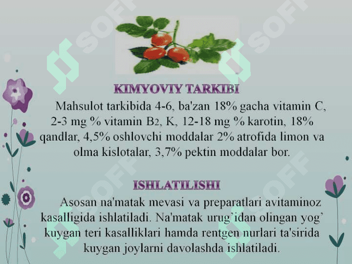 Xalq tabobatida davolash usullari 7