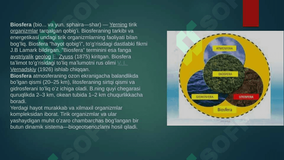 Biosferada moddalar va energiya aylanishi 2